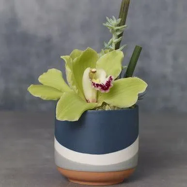 Colorway Pot | Blue (Small)