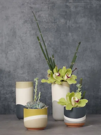 Colorway Pot | Blue (Small)