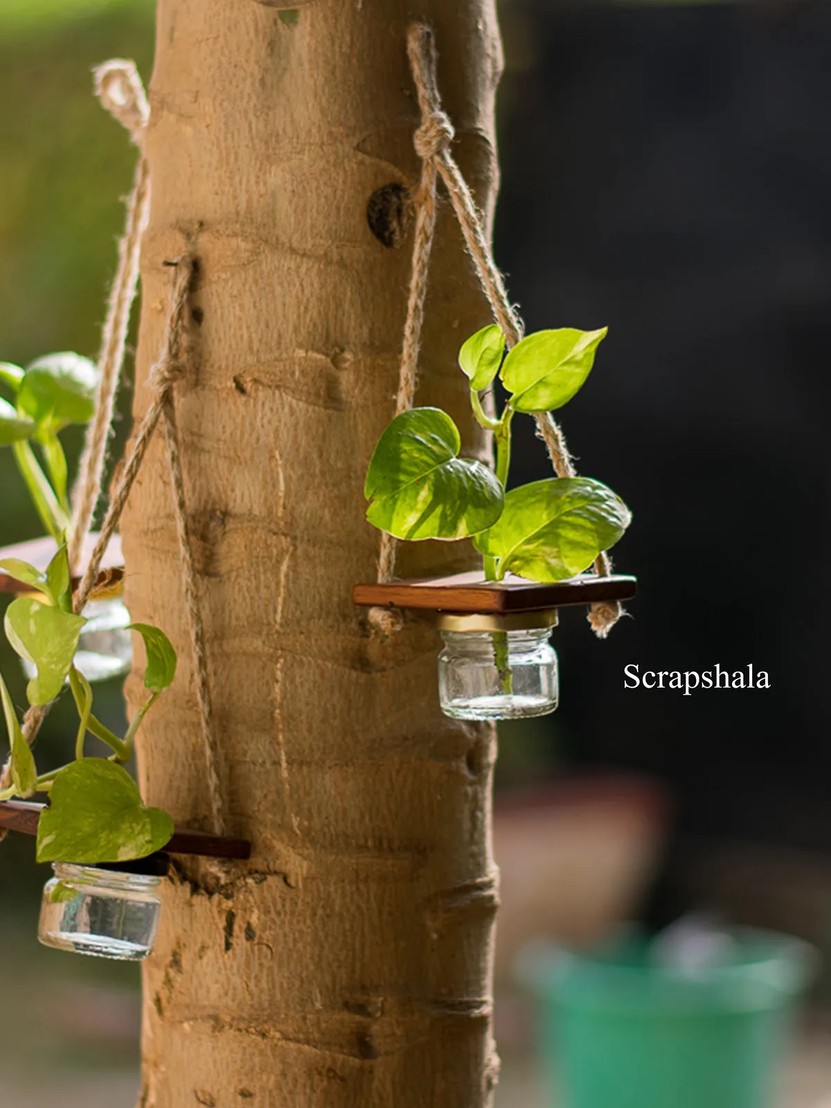 Mini Jar Hanging Planter