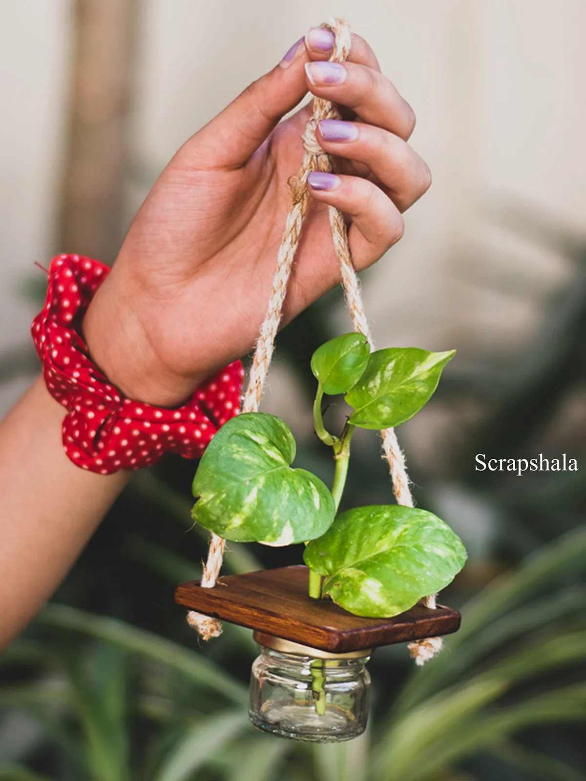 Mini Jar Hanging Planter