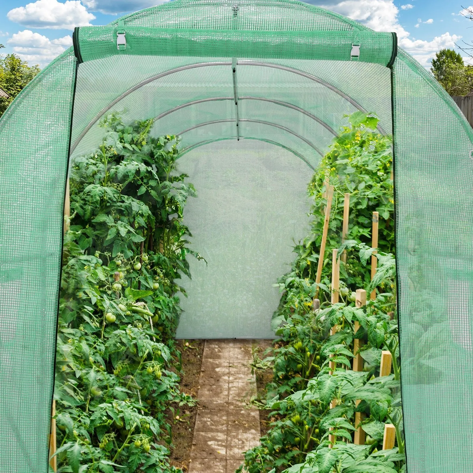 Tunnel Greenhouse Garden Green House, 13'x7'x7